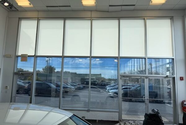 Interior showroom at Ken Ganley Volkswagen with Solyx Snow White Light Diffuser film installed for glare reduction and privacy.